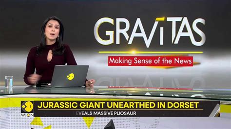 Gravitas: Pristine Pliosaur fossil uncovered in Dorset cliffs