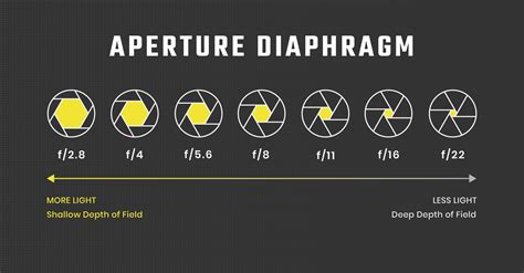 Camera Aperture Demonstration > DINFOS Pavilion > Article