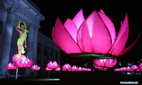 Vesak festival celebrated in Sri Lanka - Global Times