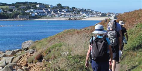 Wildlife wonder on the Isles of Scilly | Cornwall Living