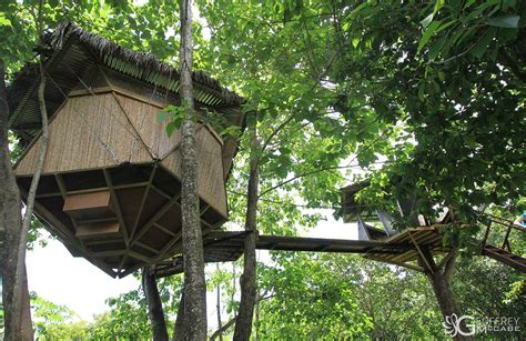 Treehouses in Costa Rica