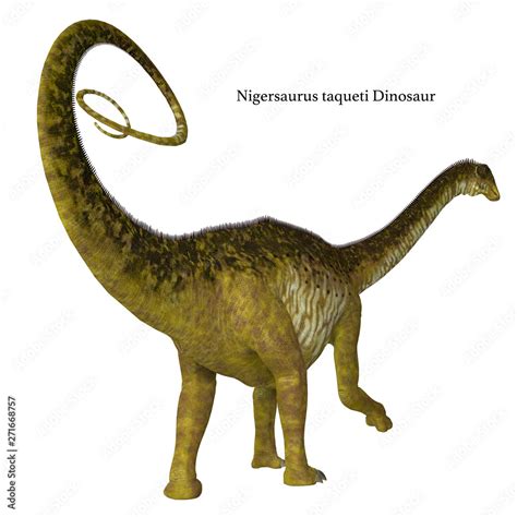 Nigersaurus Dinosaur Tail with Font - Nigersaurus was a herbivorous sauropod dinosaur that lived ...