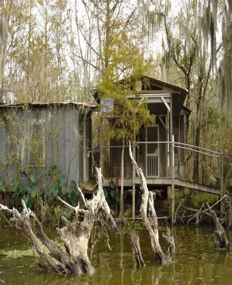 Swamp House | Swamp house | Pinterest | Southern, Abandoned and Florida everglades