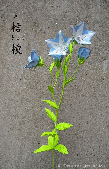 Origami 'Balloon flower' or 'Platycodon grandiflorus' | Flickr