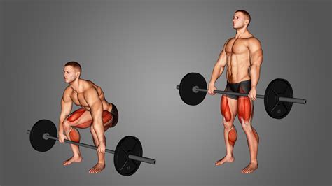 Barbell Deadlift: 4 Major Benefits & Muscles Used Explained - Inspire US