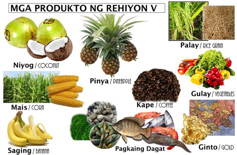 Mga Produkto Ng Rehiyon: Rehiyon V