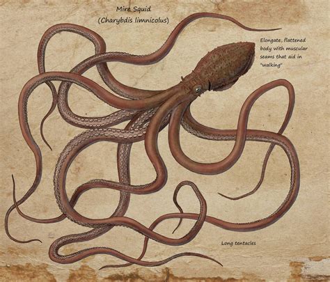 Speculative K: SI bullshit: Mire Squid by https://www.deviantart.com/ramul on @DeviantArt Alien ...