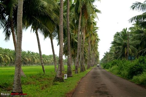 A weekend drive to Konaseema - Team-BHP