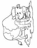 Cattle Coloring Pages Free Printable PDF sketch template