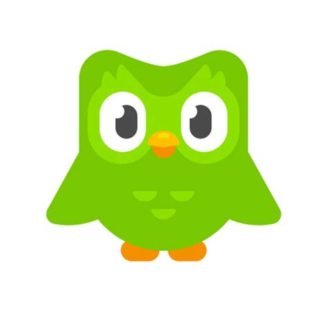 Duolingo renueva su imagen y su app — Brandemia