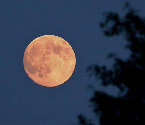 Harvest Moon by PennysPeanutGallery on DeviantArt