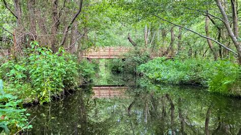 BeWILDerwood Review: Fun for the Whole Family