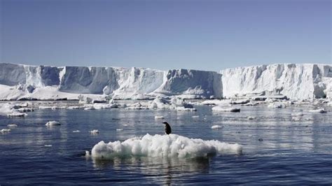 Antarctic seas are full of life and now we are able to identify them ...