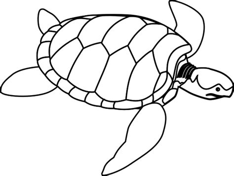 Black and white sea turtle. Clip Art Image - ClipSafari