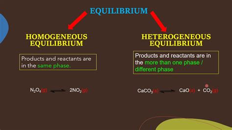 HOMOGENEOUS & HETEROGENEOUS EQUILIBRIUM - YouTube