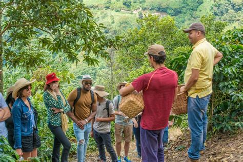 Medellin Coffee Farm Tour Colombia - Toucan Cafe