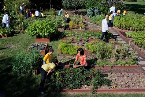 Michelle Obama's White House Vegetable Garden Will Likely Be Permanent ...