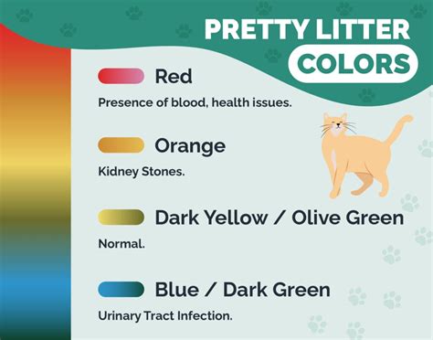 Pretty Litter Colors: What Do They Mean? (With Color Chart) | Hepper