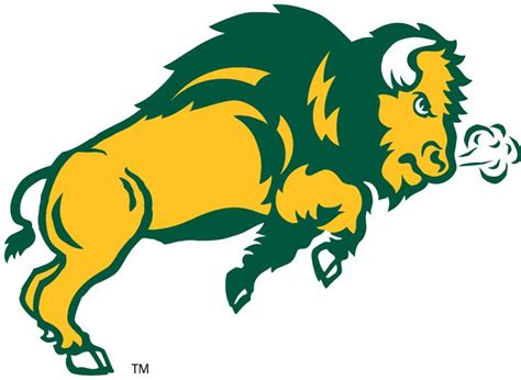 North Dakota State Bison Secondary Logo (2006-2011) - Bison trotting. in 2022 | Football coach ...