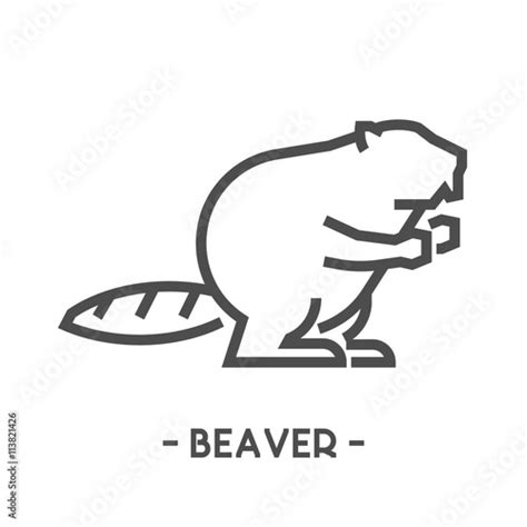 "Vector outline figure of beaver" Stock image and royalty-free vector ...