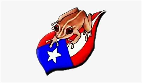 Puerto Rican Coqui Drawing - 412x406 PNG Download - PNGkit