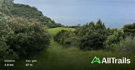 Rotoroa Island North Path, Auckland, New Zealand - 12 Reviews, Map | AllTrails