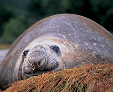 Photography Tours in Patagonia - Picture Wildlife & Nature