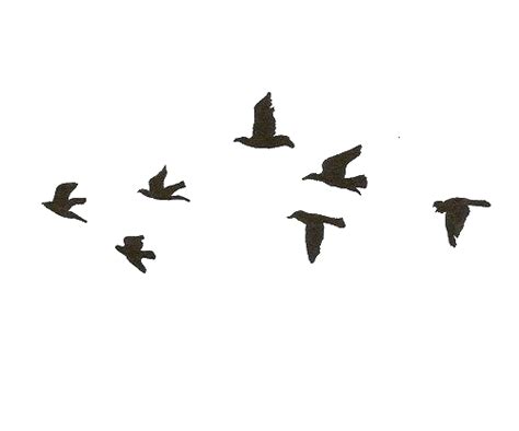 Free Bird Gif Transparent, Download Free Bird Gif Transparent png images, Free ClipArts on ...