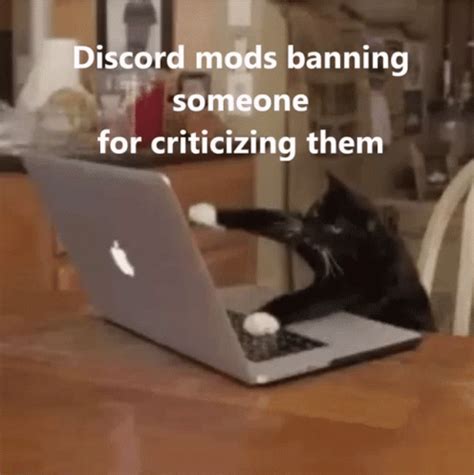 Discord Mods Cat GIF - Discord Mods Cat Ban - Discover & Share GIFs