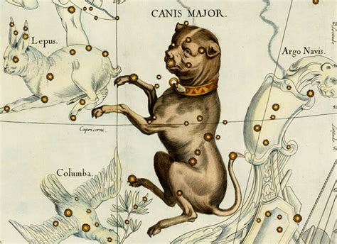 Canis Major Constellation Myth