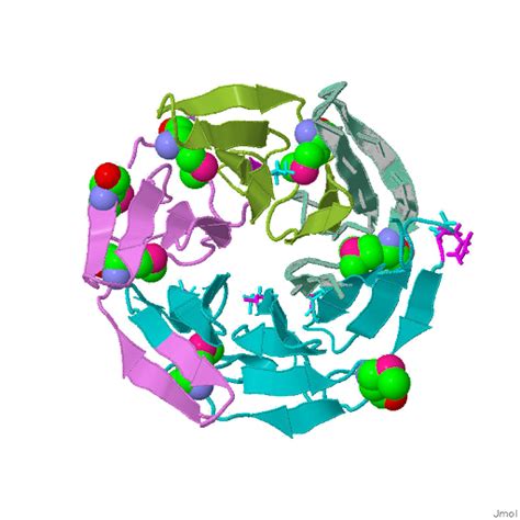 VackvSuG: The amino acid human KIAA0132 protein central BTB/POZ domain double glycine repeat ...
