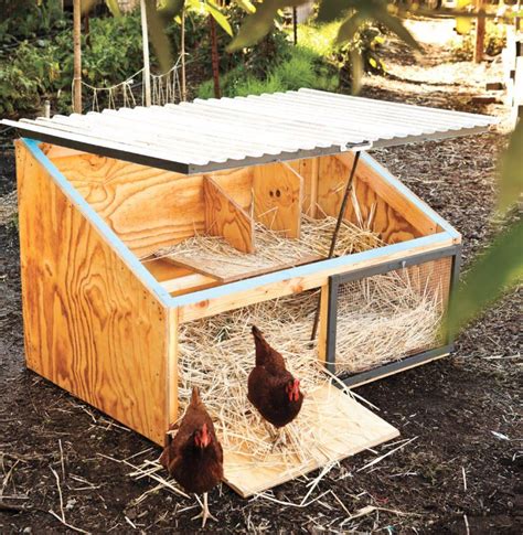 How to Build a Chicken Coop | Chicken coop designs, Chicken diy, Best ...