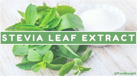 What is Stevia Leaf Extract? – Food Insight