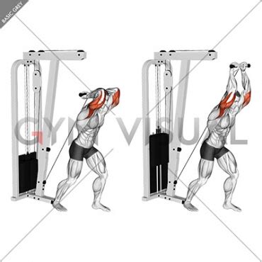 Cable Overhead Tricep Extension StraighT-bar (male)