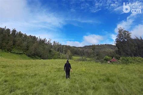 Gunung Argopuro, Trek Pendakian Terpanjang Berbalut Kisah Mistis di Tanah Jawa