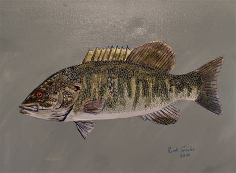 Smallmouth Bass original acrylic painting fish wall art | Etsy | Fish ...