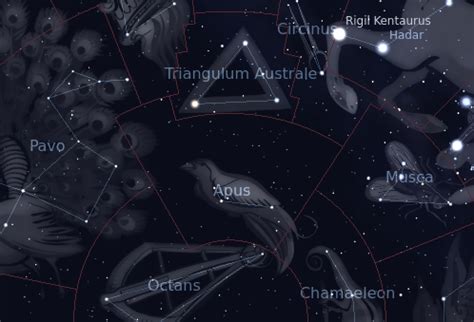 Apus Constellation | Facts, Information, History & Definition