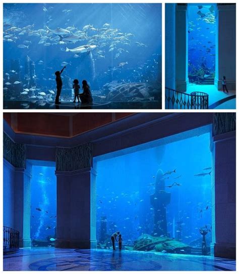 Atlantis The Palm Resort Dubai - Aquarium - Paging Fun Mums