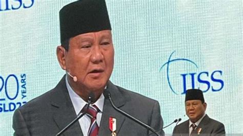 Proposal Perdamaian Prabowo soal Rusia-Ukraina Dinilai Tak Masuk Akal, Ini Alasannya