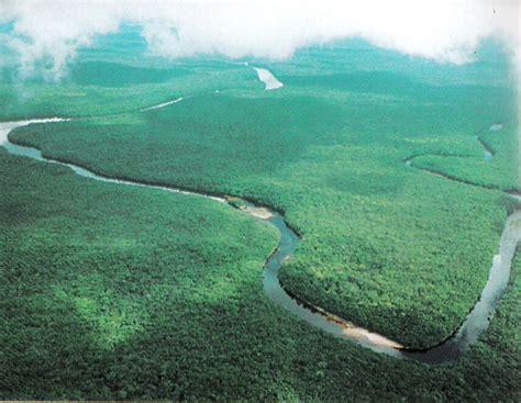 The Orinoco River: South America's Arc of Life | LAC Geo