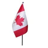 Mini Canada Flag | Canadian Tire