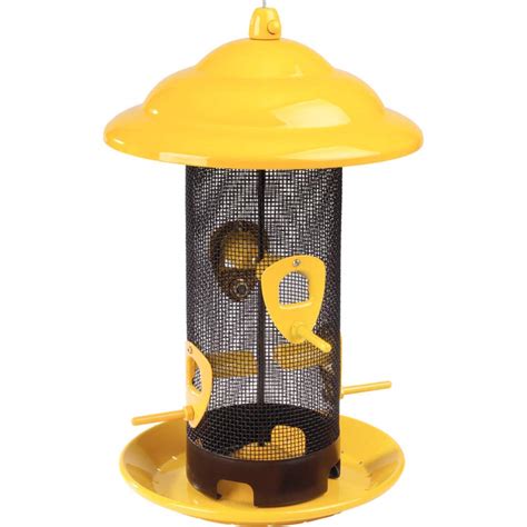 Best Dove Proof Bird Feeders – Your Best Life