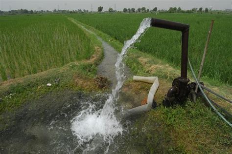 Jain Irrigation: investors betting on a good monsoon - Livemint