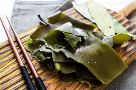 A Guide to All You Need To Know about Kombu