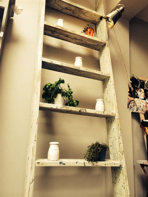 11 Leaning Ladder Shelf Ideas (Including 5 Handmade Versions)