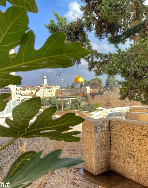 The Temple Mount, Jerusalem - Nili Israel Photos