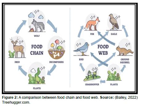 Journal of Ecosystem & Ecography - Terrestrial and Aquatic Food Webs: Interlinking the Food Webs