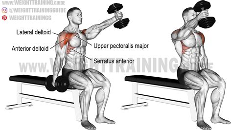 Seated alternating dumbbell front raise exercise Fitness Workouts, Weight Training Workouts, Gym ...