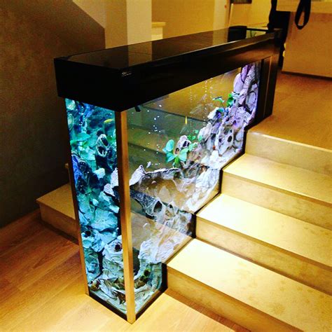 What are your thoughts on this stair aquarium, and what fish would you add to it? 🤔🐠 ⠀⠀⠀⠀⠀⠀⠀⠀⠀ ↗ ...