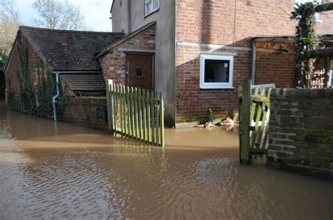 Bill's Birding: Worcester Floods